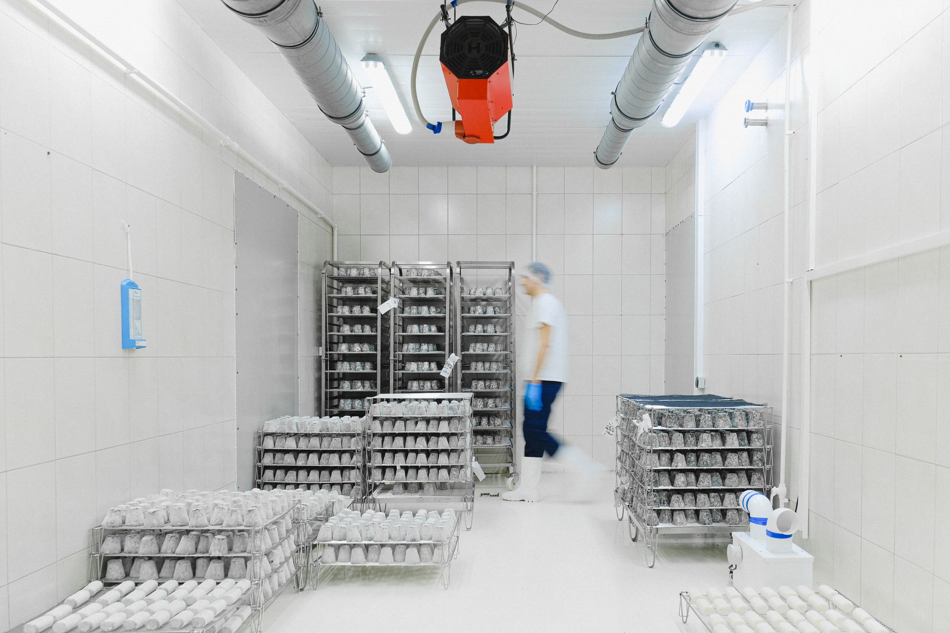 Interior of a vast, futuristic ultra-low temperature pharmaceutical warehouse with steel racks and blue lighting.